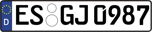 ES-GJ0987