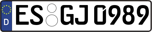 ES-GJ0989