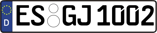ES-GJ1002