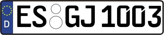 ES-GJ1003