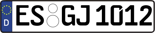 ES-GJ1012