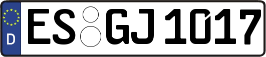 ES-GJ1017