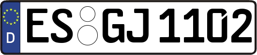 ES-GJ1102