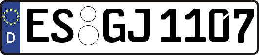 ES-GJ1107