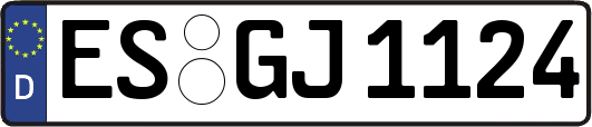 ES-GJ1124