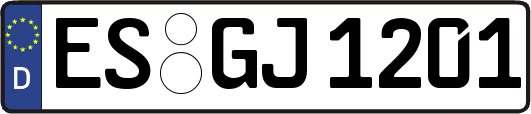 ES-GJ1201