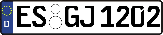 ES-GJ1202