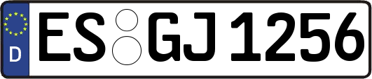 ES-GJ1256