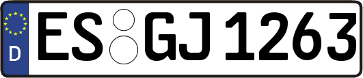 ES-GJ1263