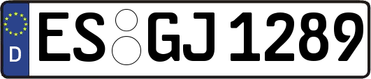 ES-GJ1289