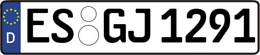 ES-GJ1291