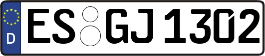 ES-GJ1302