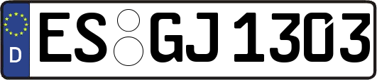 ES-GJ1303