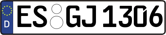 ES-GJ1306