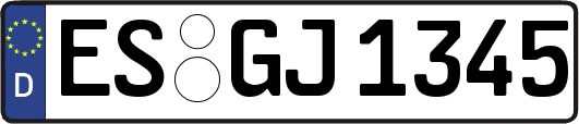 ES-GJ1345