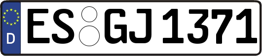 ES-GJ1371