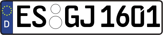 ES-GJ1601