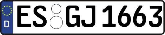 ES-GJ1663
