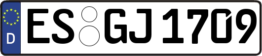 ES-GJ1709