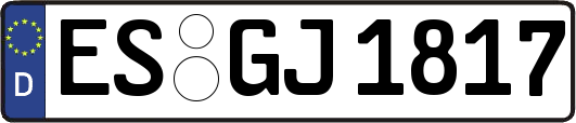 ES-GJ1817