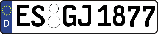 ES-GJ1877