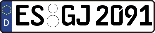 ES-GJ2091
