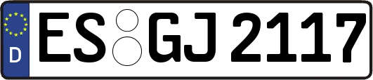 ES-GJ2117