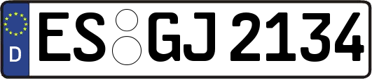 ES-GJ2134