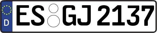 ES-GJ2137