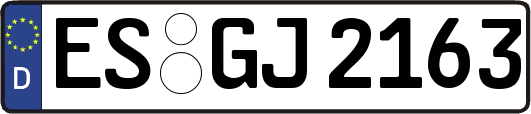 ES-GJ2163