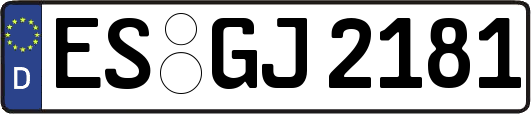 ES-GJ2181