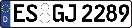 ES-GJ2289
