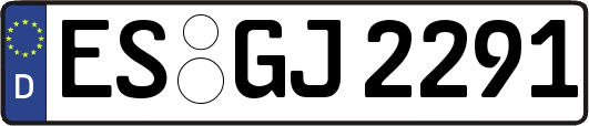 ES-GJ2291