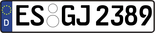 ES-GJ2389