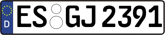 ES-GJ2391