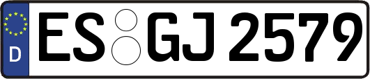 ES-GJ2579