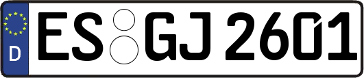 ES-GJ2601