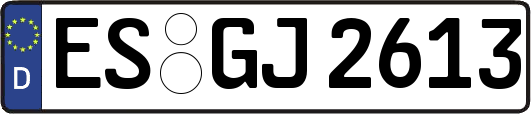 ES-GJ2613
