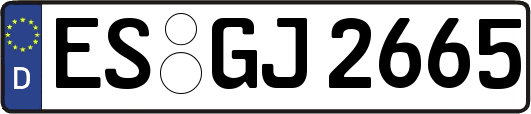 ES-GJ2665