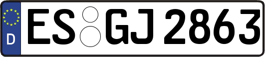 ES-GJ2863