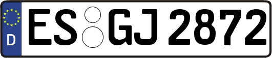 ES-GJ2872