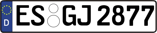 ES-GJ2877