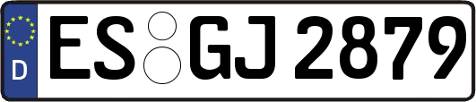 ES-GJ2879