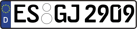 ES-GJ2909