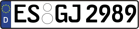 ES-GJ2989