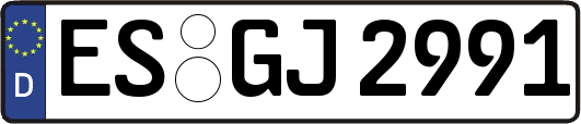 ES-GJ2991