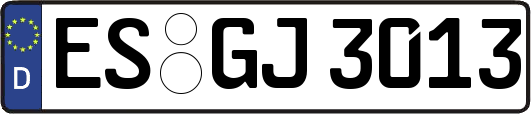 ES-GJ3013