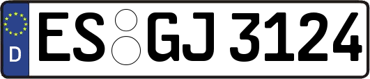 ES-GJ3124