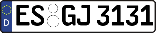 ES-GJ3131