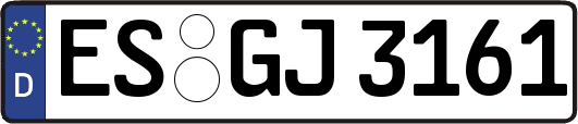 ES-GJ3161